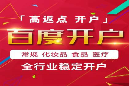 SEM公司案例研究：数据驱动营销策略